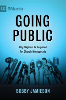 Going Public Cover